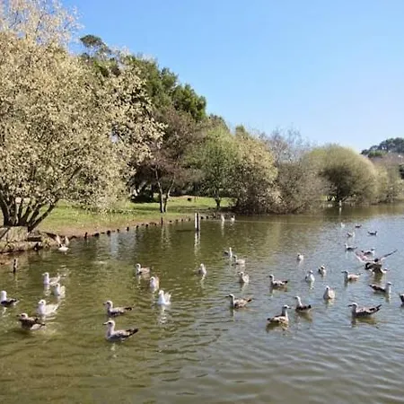 Apartamento T3 Perto Do Centro Do Porto, Check-in 24 Horas,cozinha Totalmente Equipada, Wi-fi 44mbps, Confortável E Espaçosa, Com Vaga De Carro Pública, Adequada Famílias, Hóspedes Em Negócios E Grupos De Amigos E Nomades Digitais